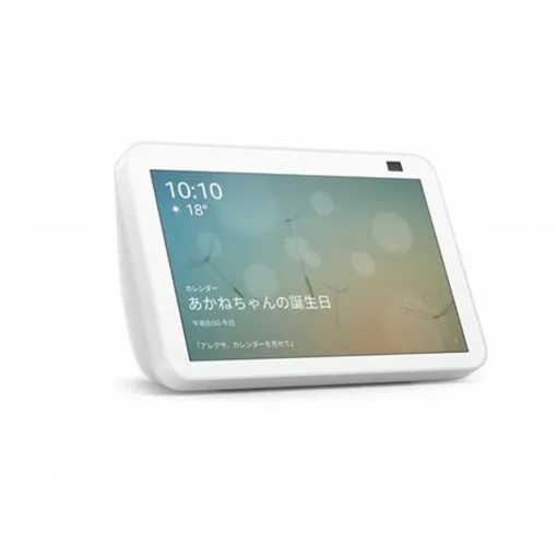 Alexa Echo